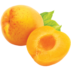 Apricot PNG-12641